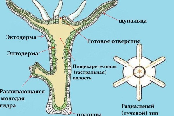 Kraken это современный маркетплейс