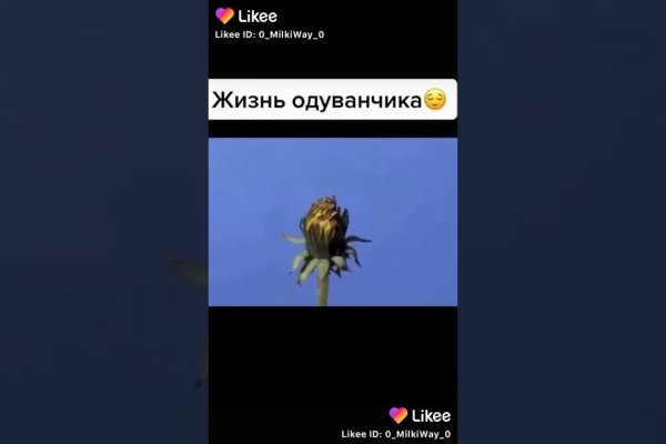 Кракен зеркало store