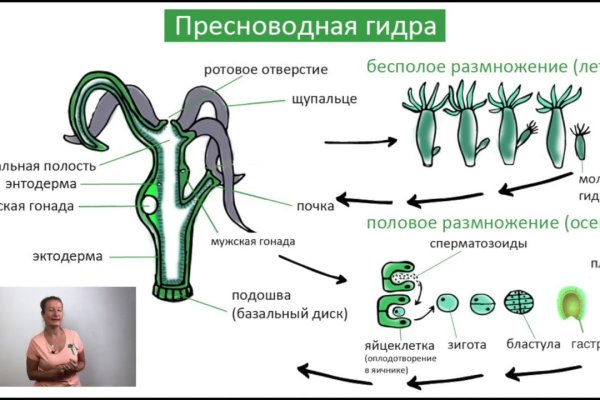 Нарко маркетплейсы