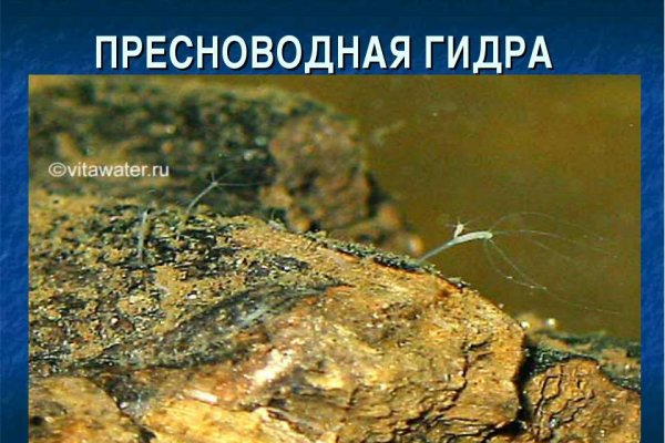 Clear ссылка на кракен
