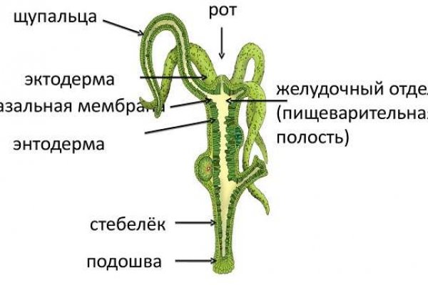 Kraken что это такое